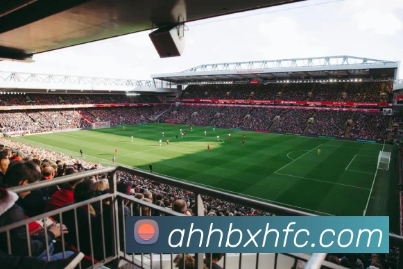 爱游戏平台生态图