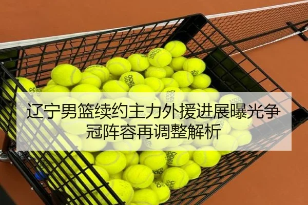 辽宁男篮续约主力外援进展曝光争冠阵容再调整解析
