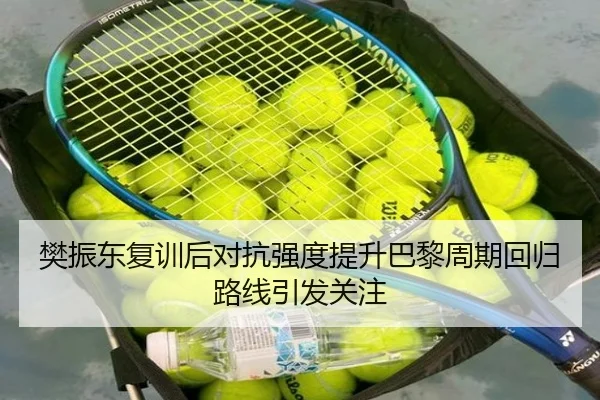 樊振东复训后对抗强度提升巴黎周期回归路线引发关注